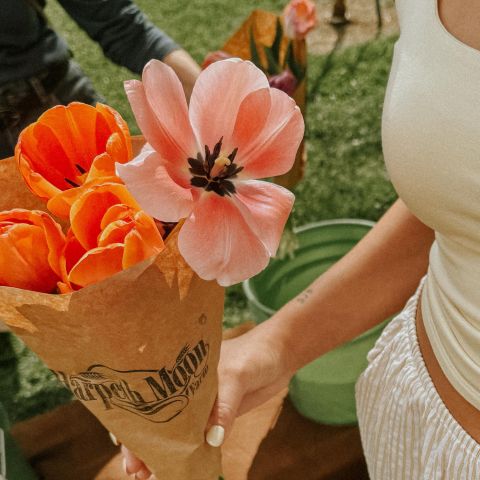 Seasonal finds, local favorites, and effortless spring days🌸

Start with LOCAL hour tonight-custom tote decorating, just in time for your farmer’s market finds this weekend🍓
#livelocal #shoplocal #nashvilleapartments #apartmentherapy