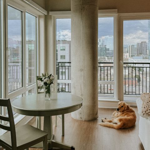 Mood board or just some of the apartment vibes at LOCAL this month? 😍

#local #livelocal #nashville #apartmentsinnashville #apartmenttherapy