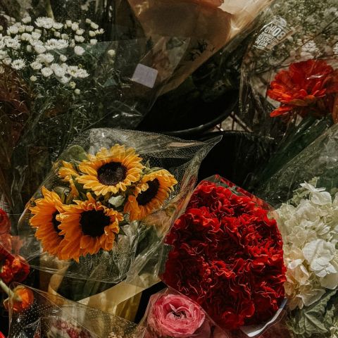 It’s Bloom Bar day for our Local’s! 😍💐

#livelocal #apartmentsinnashville #nashvilletn #local #nashville #localnashville #nashvilleapartments #nashvilletn #residents #events #flowers #traderjoes #trending